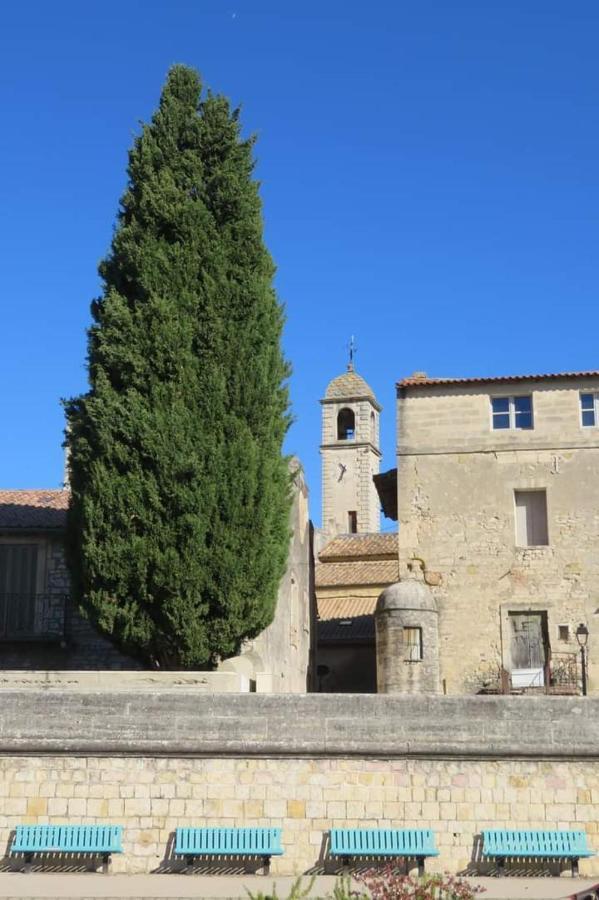 Hotel Le Mazet De L'Amathye Aramon Esterno foto